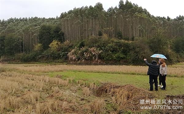 邯郸市陈老师带着爱徒寻龙点穴